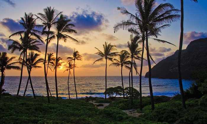 Hawaii annually receives 8 million tourists