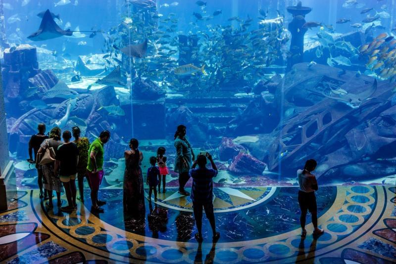 1581189079 18 The water life that attracts tourists in Dubai - The water life that attracts tourists in Dubai
