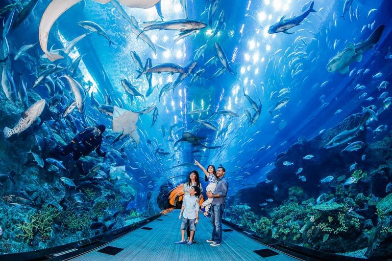 1581189079 73 The water life that attracts tourists in Dubai - The water life that attracts tourists in Dubai