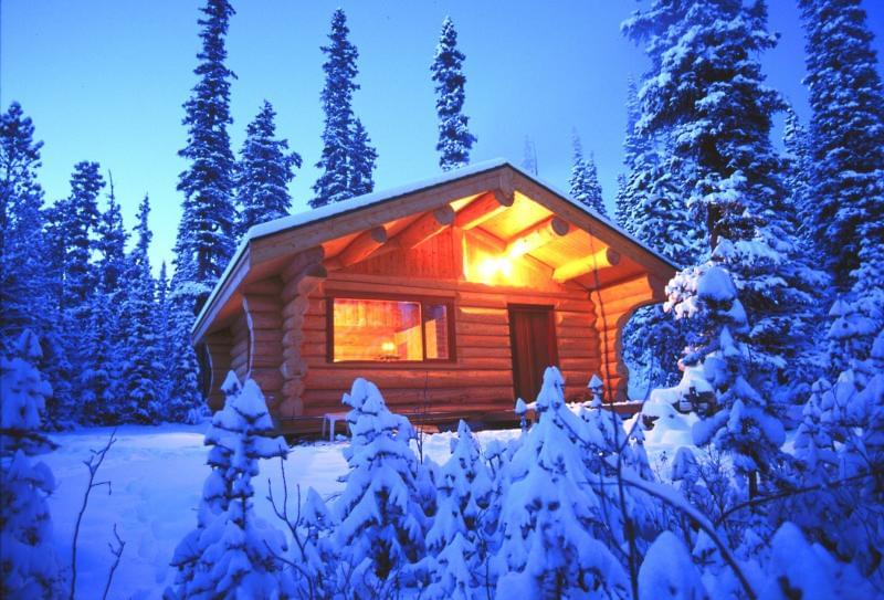 1581189959 237 Get to know Colorado and its wooden cabins - Get to know Colorado and its wooden cabins