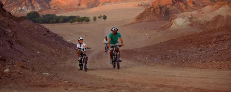 1581191759 235 Doing bike riding with a special flavor in the Dubai - Doing bike riding with a special flavor in the Dubai desert