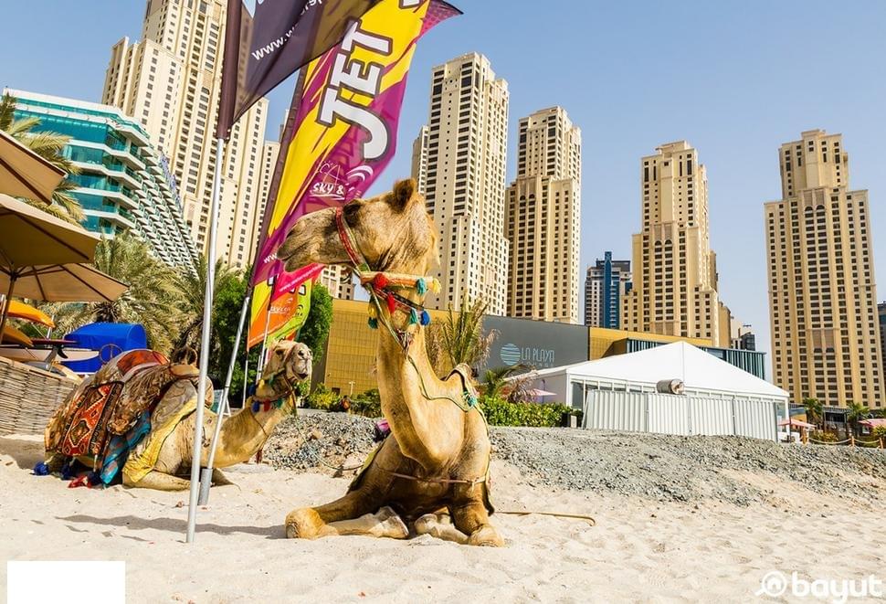 1581192959 803 Enjoy great times at the best public beaches in Dubai - Enjoy great times at the best public beaches in Dubai