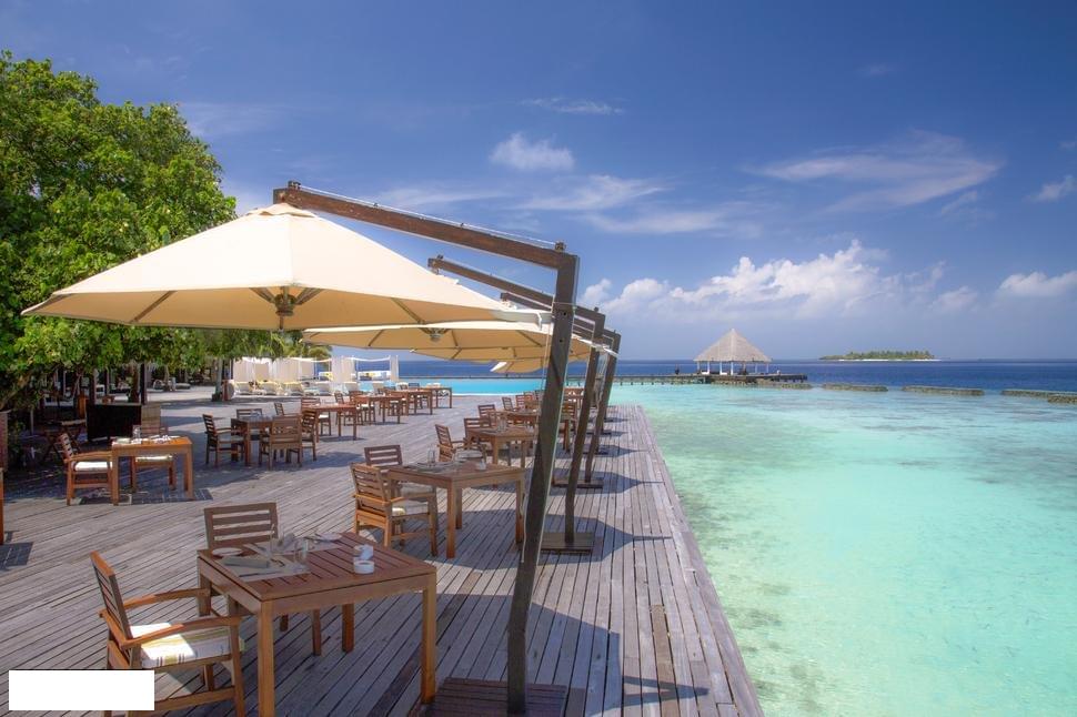 1581192999 529 To experience innovative food travel to Coco Bodu Hithi Resort - To experience innovative food, travel to Coco Bodu Hithi Resort is an ideal destination for this