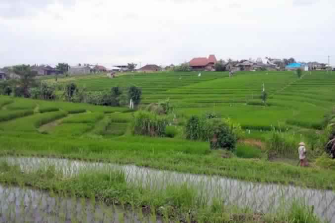 1581196119 892 List of tours in Bali for those on a budget - List of tours in Bali for those on a budget
