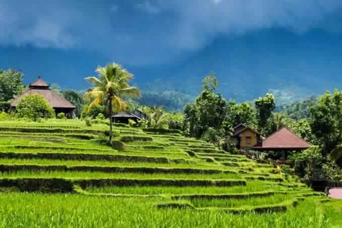 1581196129 528 An exciting adventure to take in Bali dear tourist - An exciting adventure to take in Bali, dear tourist