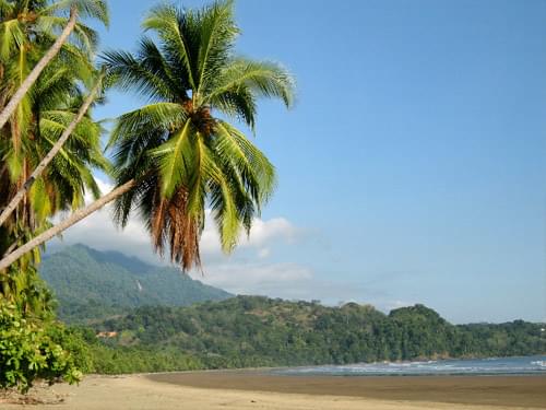 1581196509 100 The most beautiful beaches of family tourism in Costa Rica - The most beautiful beaches of family tourism in Costa Rica