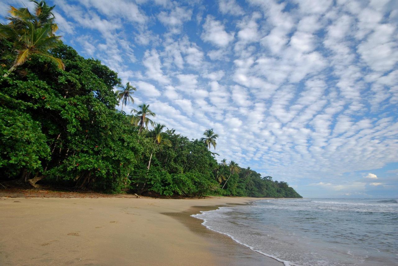 The most beautiful beaches of family tourism in Costa Rica