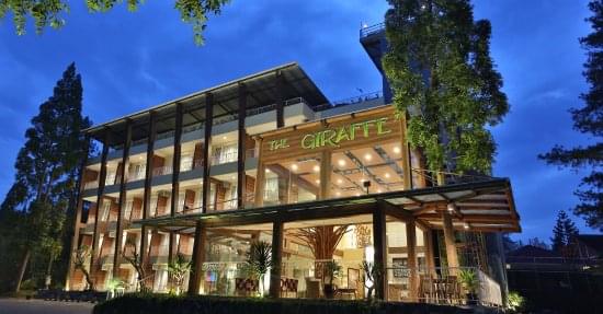 1581197119 321 List of the most luxurious hotels in Puncak - List of the most luxurious hotels in Puncak