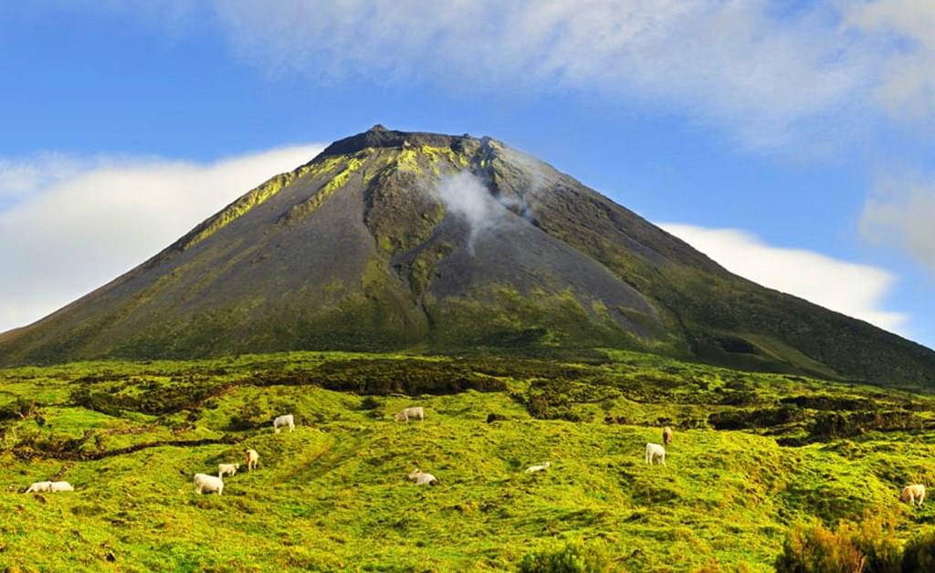 Portuguese Azores 394297 Arab travelers