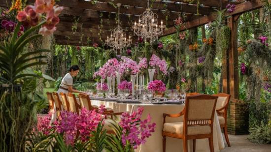Thailand Orchid Garden