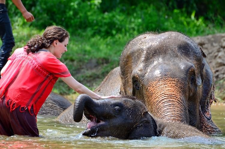 Playing with elephants in Thailand