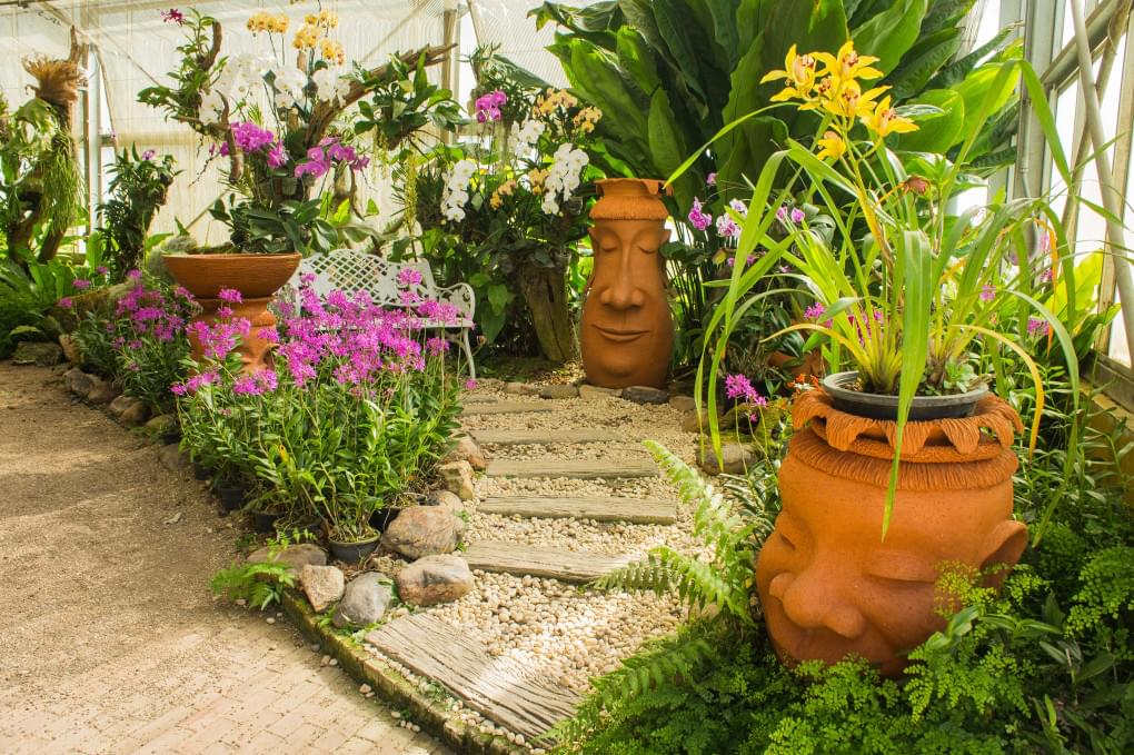 Orchid Garden in Nayland