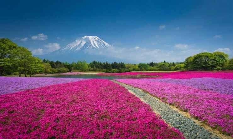 1581202703 158 The most prominent natural attractions in Japan - The most prominent natural attractions in Japan