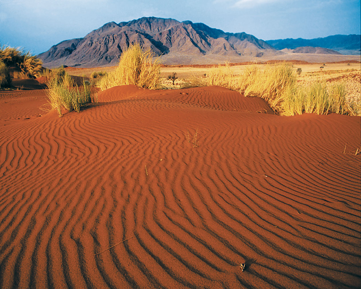 Namibia Desert