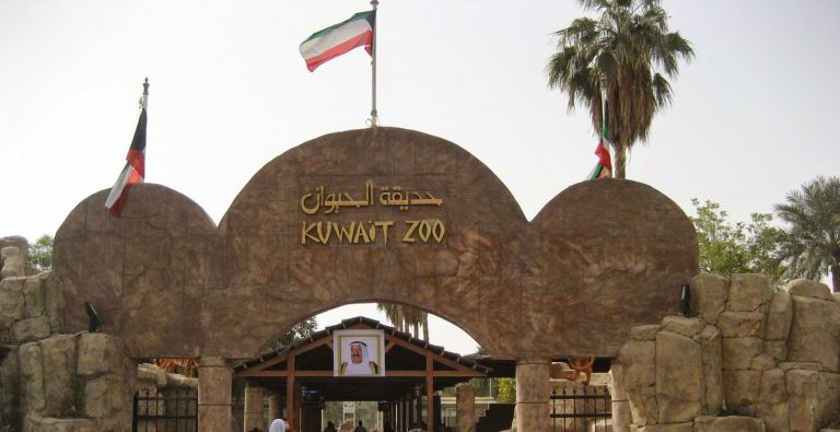 1581204639 98 The best tourist places in Kuwait for families to spend - The best tourist places in Kuwait for families to spend a special holiday