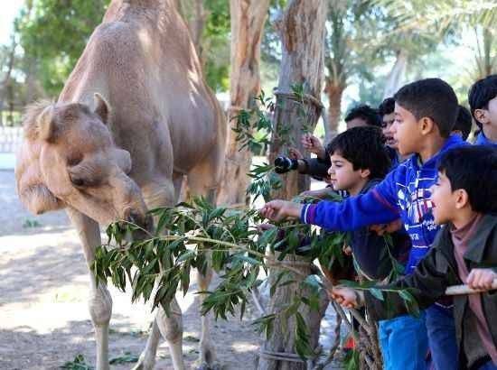 1581204829 115 The most beautiful places in Bahrain for children to enjoy - The most beautiful places in Bahrain for children to enjoy a wonderful holiday and recreational vacation