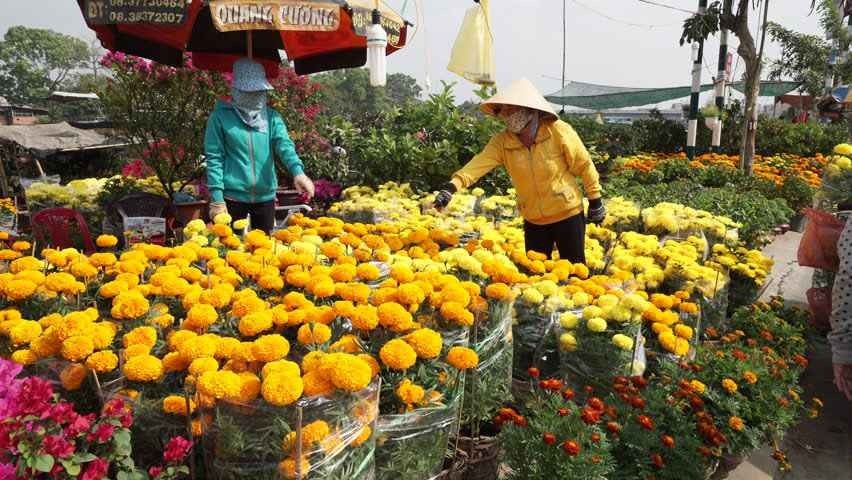 1581205259 335 The customs and traditions of the Vietnamese people celebrate the - The customs and traditions of the Vietnamese people celebrate the Vietnamese New Year and the atmosphere full of joy and color