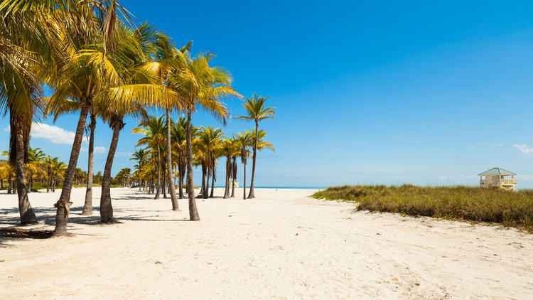 1581205519 595 The most famous beaches of Miami Florida - The most famous beaches of Miami, Florida
