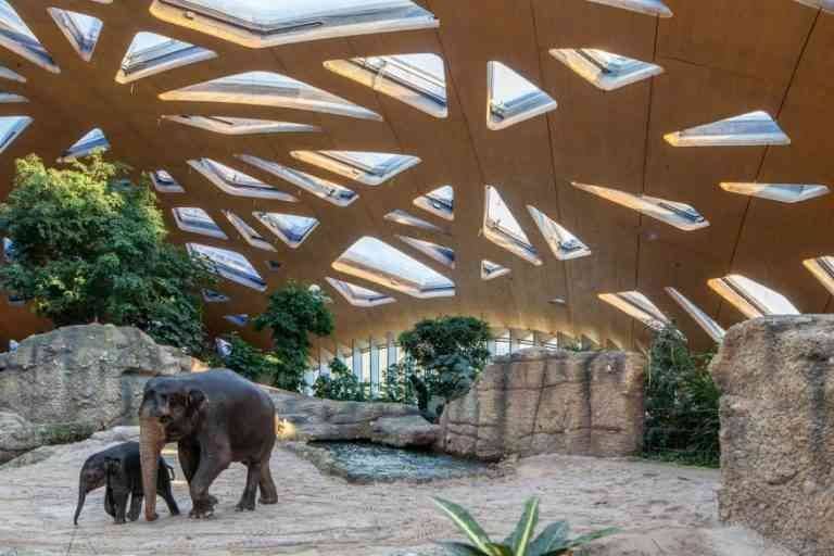 Zoo Zurich