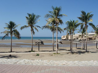 1581206029 710 All about Omani beaches - All about Omani beaches