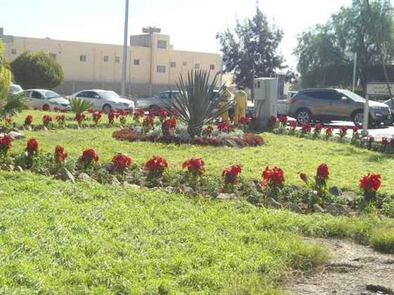 Khamis Mushait parks: vast areas of permanent greenery throughout the year