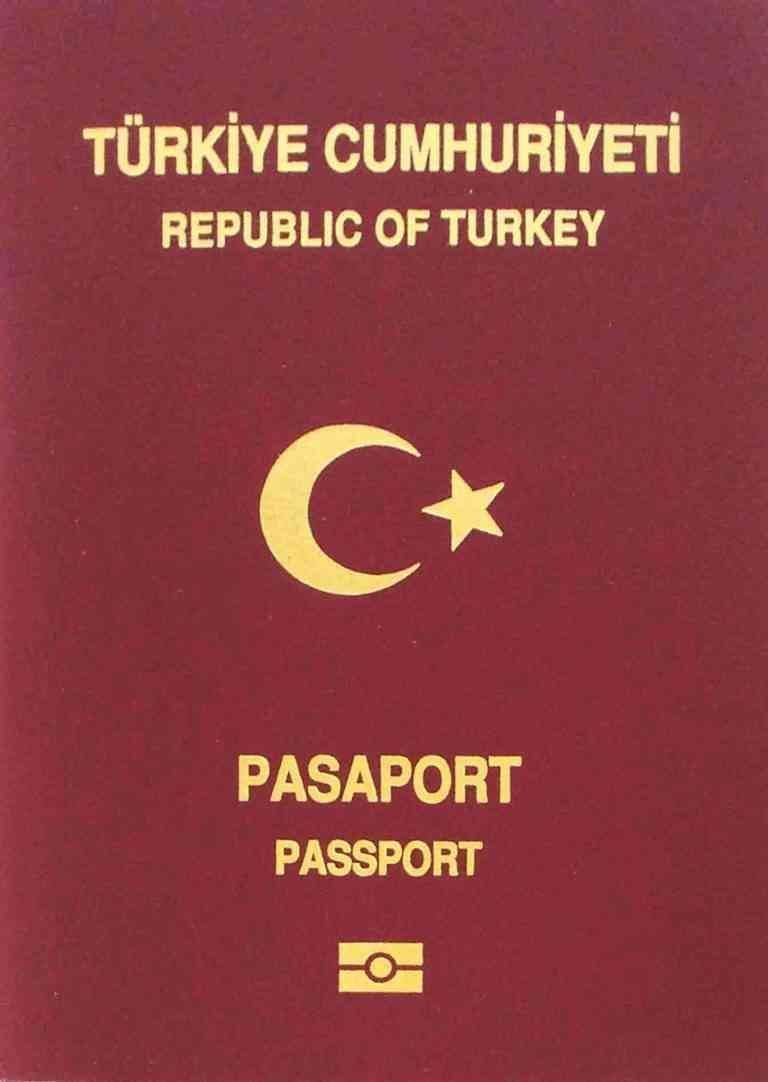 Entry visa to Turkey ... (Visa) ..