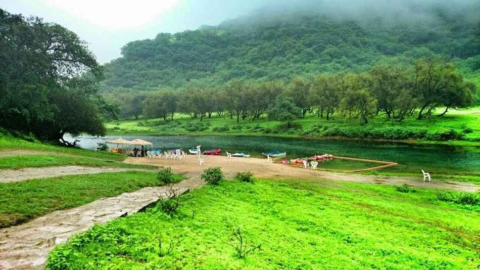 Tourism in Salalah … the green bride of the Sultanate of Oman and its commercial center