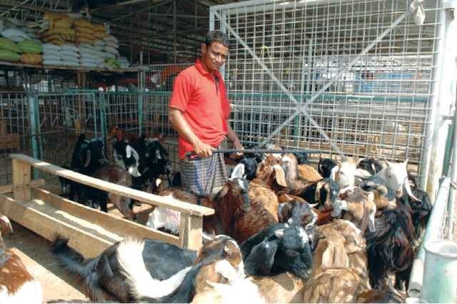 - Al Ain Central New Market for Livestock and Poultry.