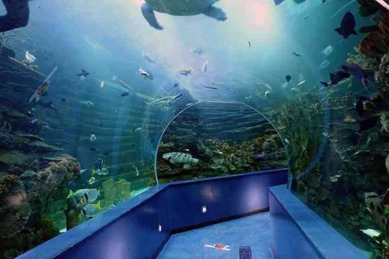 - Sharjah Aquarium ..