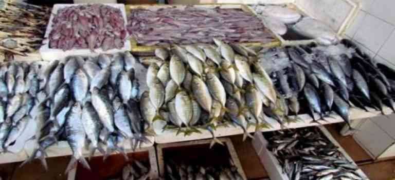- The new fish market ..