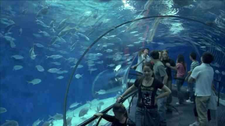Aquarium..The most beautiful water basins in Phuket ..