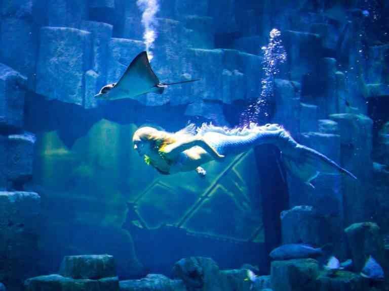 Paris Aquarium ..