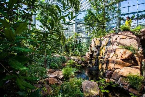 - The Botanical Garden in Frankfurt, "Mangarten" ...