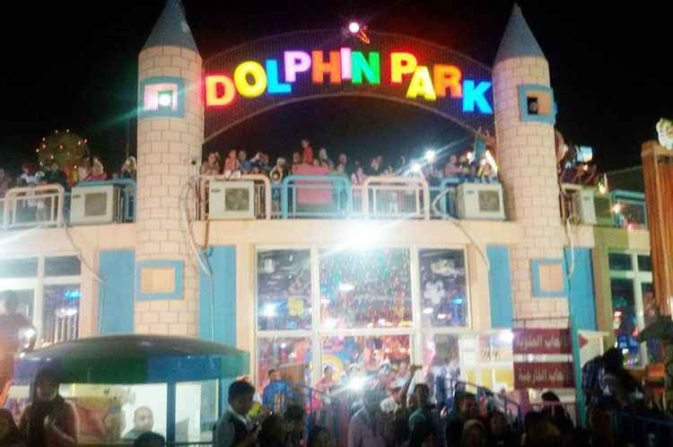 - "Dolphin Park" ...