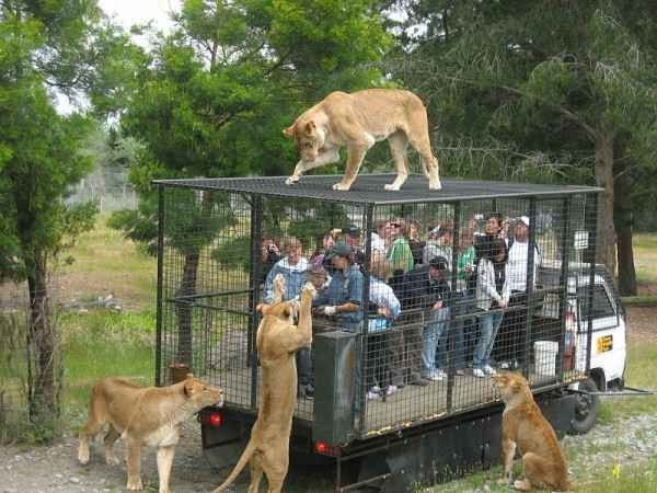 - The "Green Parkobonta" Zoo ...
