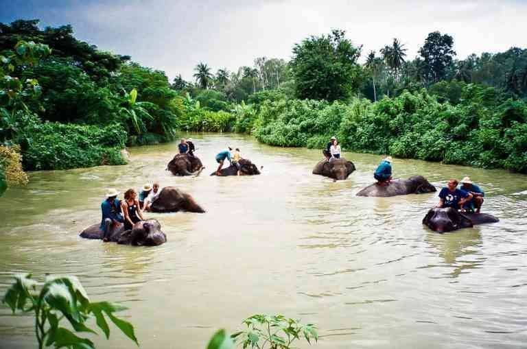 "Pattaya Elephant Village" ..