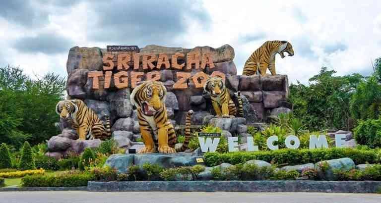 "Tiger Park" ..