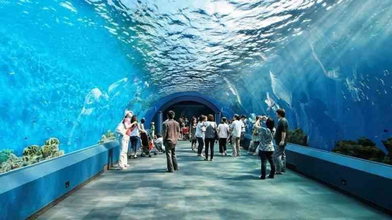 "Underwater World Park" ..