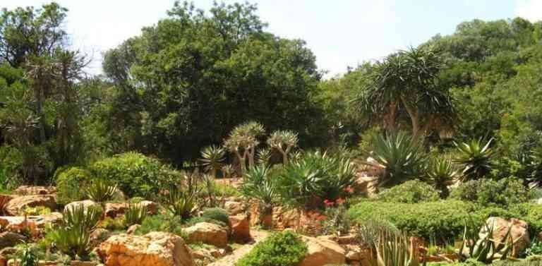 - The "Wenceslasolo" park ... one of the most important tourist attractions in South Africa.