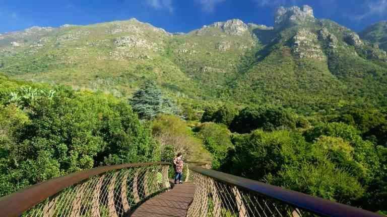 - "Kirstenbosch" gardens .. one of the most beautiful tourist places in South Africa ..