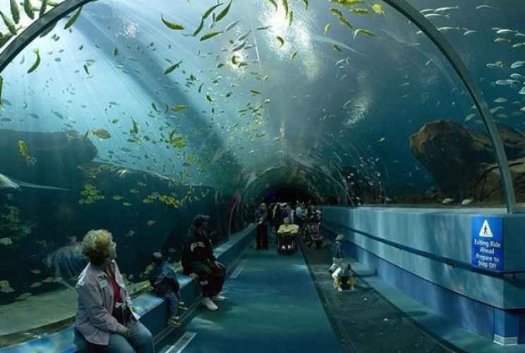 "Tropical Aquarium" ... the best tourist places in Djibouti ..
