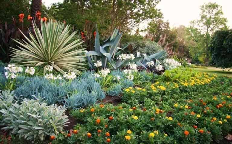 "Botanical Gardens" .. tourist places in Tanzania ..