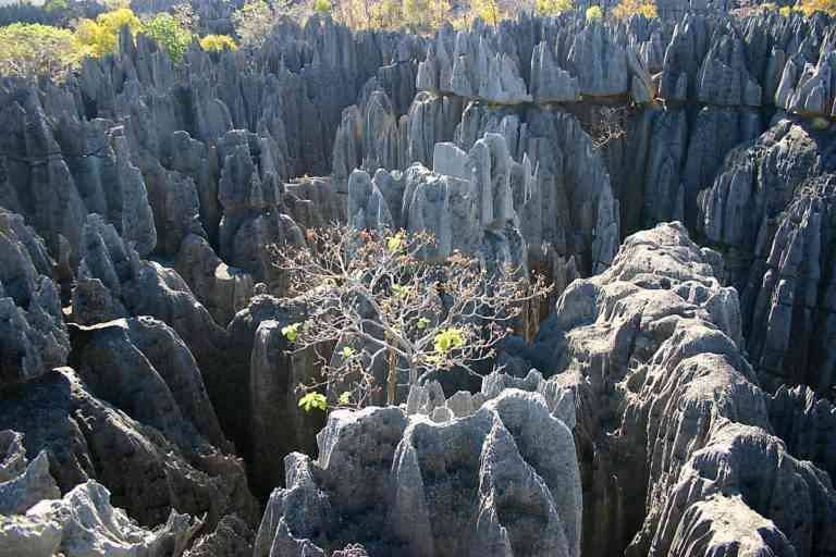 - "Tsingy de Bimara" reserve ... the largest in Madagascar.