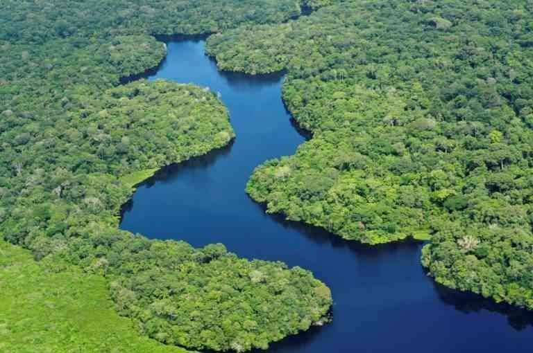 "Pantanal" is one of the most important tourist places in Brazil.