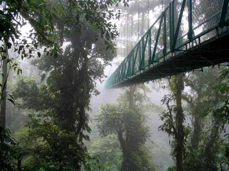"Monteverde Cloud Forest"
