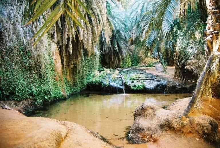 "Oasis Terjit" .. the best tourist places in Mauritania ..