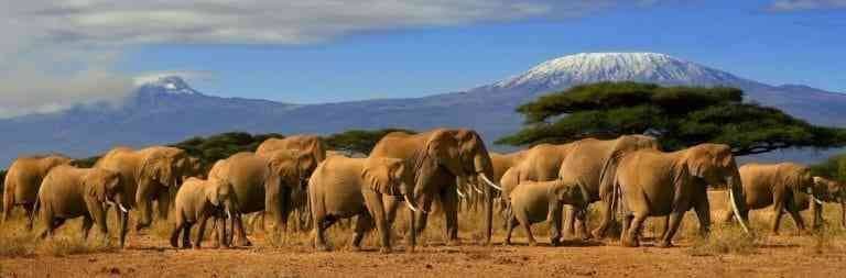 1581227219 635 Tourism in Kenya .. the ideal place for adventure lovers - Tourism in Kenya .. the ideal place for adventure lovers and safari trips ..