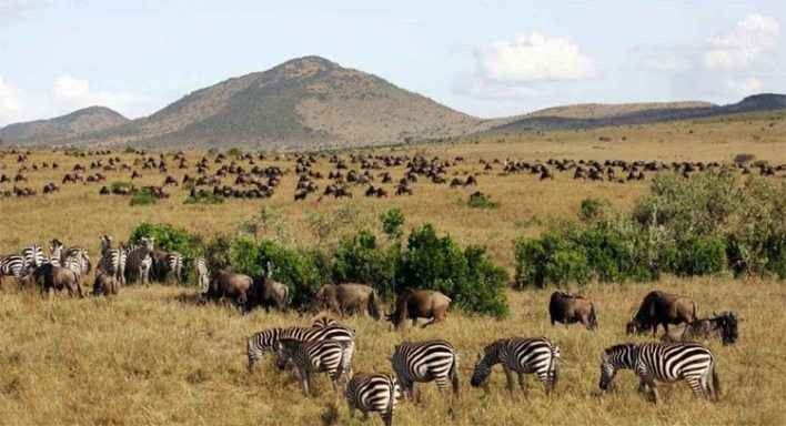 1581227219 956 Tourism in Kenya .. the ideal place for adventure lovers - Tourism in Kenya .. the ideal place for adventure lovers and safari trips ..