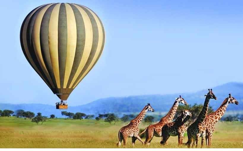 Tourism in Kenya .. the ideal place for adventure lovers and safari trips ..