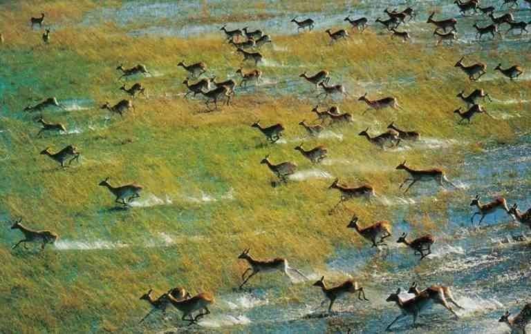 "Okavango River" .. Tourist places in Botswana ..